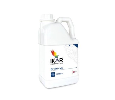 IKAR B170+Mo