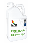 IKAR Bigo Roots