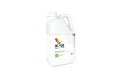 IKAR Bigo Roots