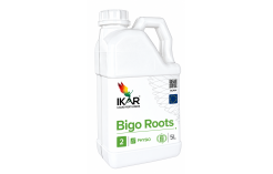 IKAR Bigo Roots