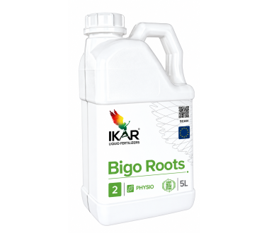 IKAR Bigo Roots