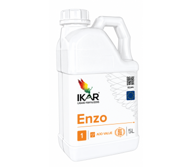 IKAR Enzo