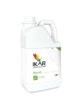 IKAR Revolt