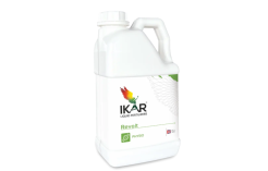 IKAR Revolt