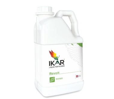 IKAR Revolt