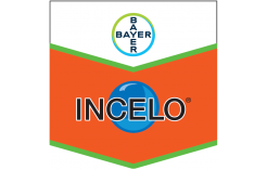 INCELO