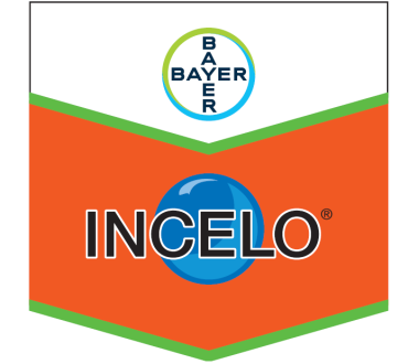 INCELO