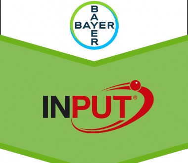 Input