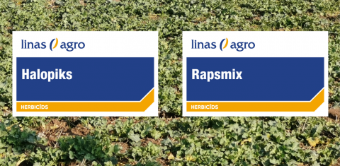 Jauni herbicīdi Linas Agro piedāvājumā – Rapsmix un Halopiks! Jauni herbicīdi Linas Agro piedāvājumā – Rapsmix un Halopiks!