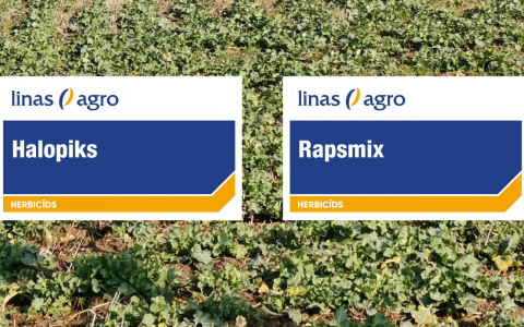 Jauni herbicīdi Linas Agro piedāvājumā – Rapsmix un Halopiks!