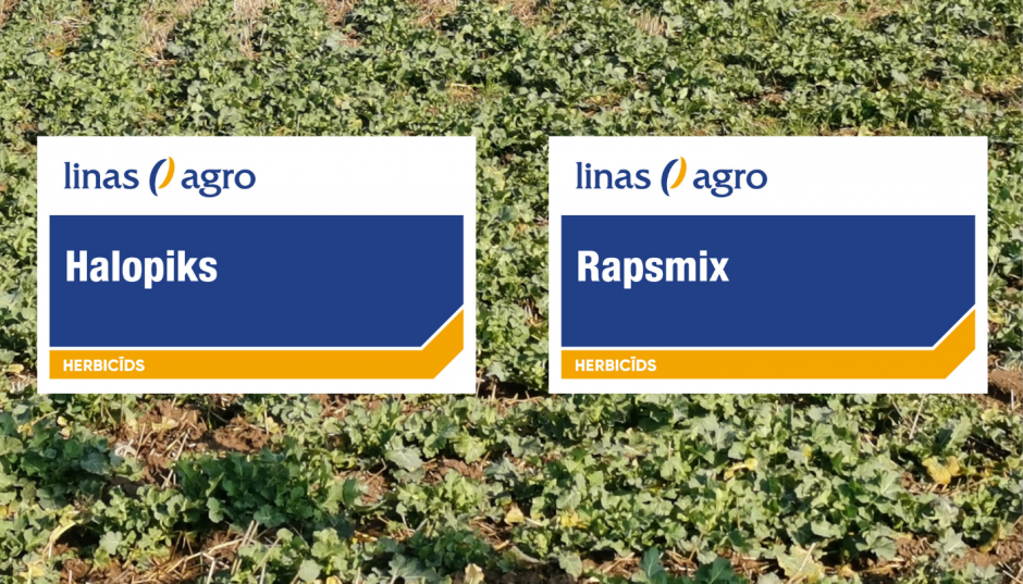 Jauni herbicīdi Linas Agro piedāvājumā – Rapsmix un Halopiks!