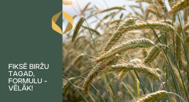 Jauns graudu līgumu veids!