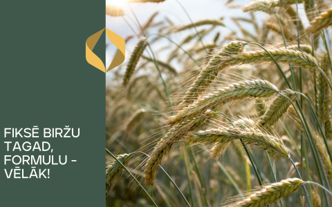 Jauns graudu līgumu veids!