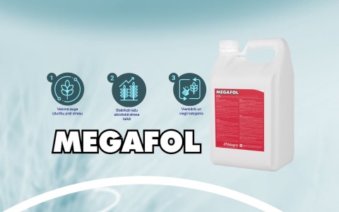 JAUNUMS tirgū - MEGAFOL biostimulants no Syngenta