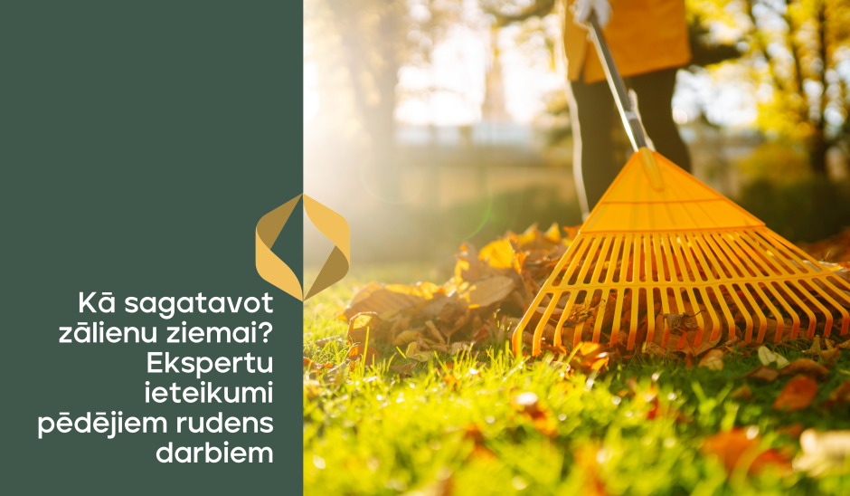 Kā sagatavot zālienu ziemai? Ekspertu ieteikumi pēdējiem rudens darbiem