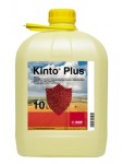 Kinto Plus Kinto Plus