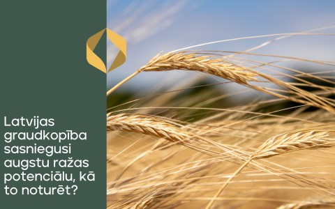 Latvijas graudkopība sasniegusi augstu ražas potenciālu, kā to noturēt? 