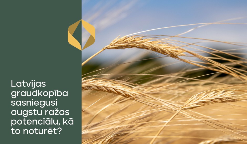 Latvijas graudkopība sasniegusi augstu ražas potenciālu, kā to noturēt? 