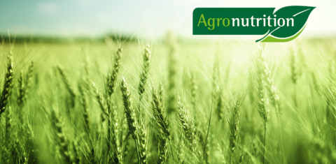 Linas Agro iesaka - mikroelementu mēslojums no AgroNutrition Linas Agro iesaka - mikroelementu mēslojums no AgroNutrition