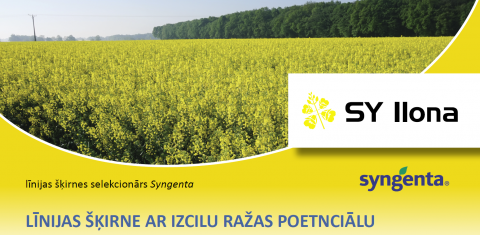 SIA "Linas Agro" piedāvājumā ziemas rapšu līnijšķirne SY Ilona! SIA "Linas Agro" piedāvājumā ziemas rapšu līnijšķirne SY Ilona!