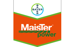 Maister Power OD