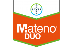 Mateno Duo