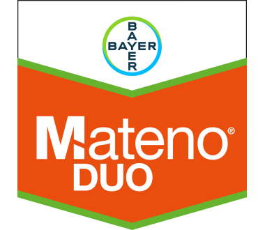 Mateno Duo