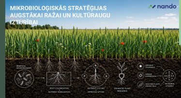 MIKROBIOLOĢISKĀS STRATĒĢIJAS AUGSTĀKAI RAŽAI UN KULTŪRAUGU IZTURĪBAI