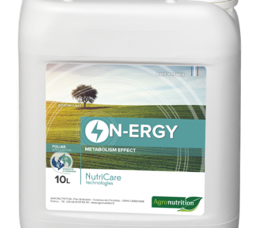 N-Ergy