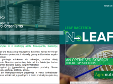 N-LEAF