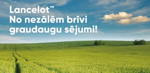 No nezālēm brīvi graudaugu sējumi ar Lancelot! No nezālēm brīvi graudaugu sējumi ar Lancelot!