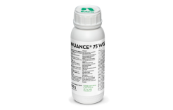 NUANCE 75 WG