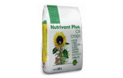 NUTRIVANT PLUS RAPSIM+FV 