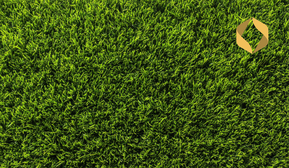 Pagalma atjaunošana: ar ko sākt, audzējot zālienu