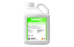 Panarex