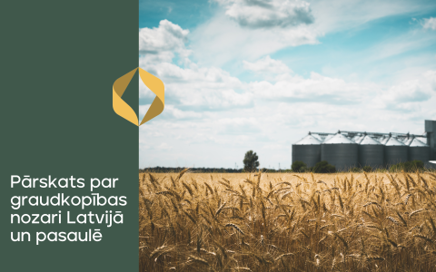 Pārskats par graudkopības nozari Latvijā (2025. gada oktobris–novembris) un pasaulē