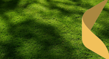 Pavasaris ir sācies – daba ir pamodusies: kad ir vērts modināt zālienu?