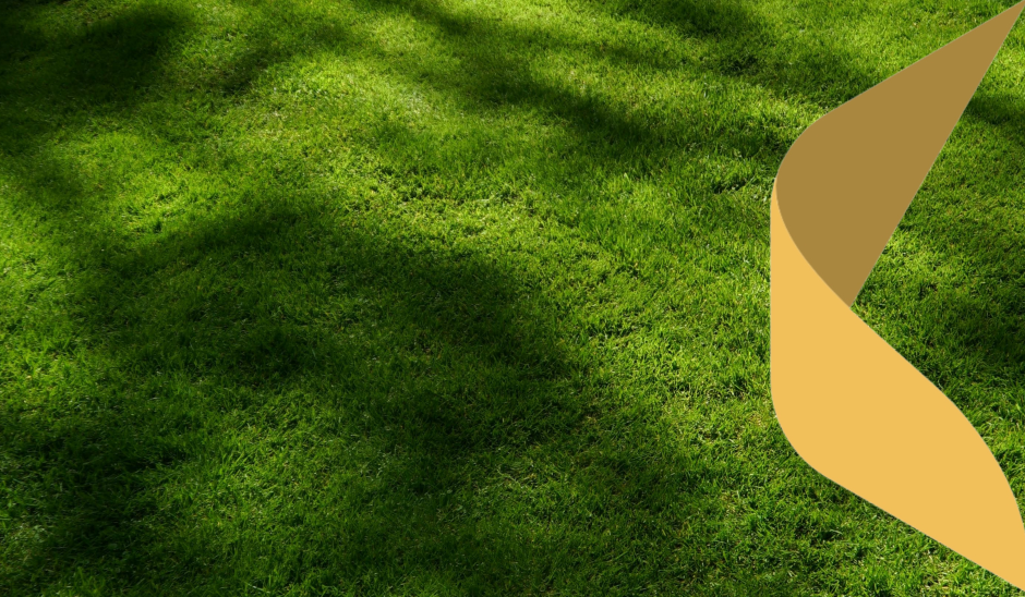 Pavasaris ir sācies – daba ir pamodusies: kad ir vērts modināt zālienu?