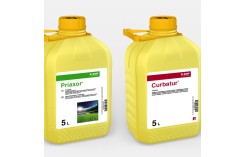 Priaxor + Curbatur