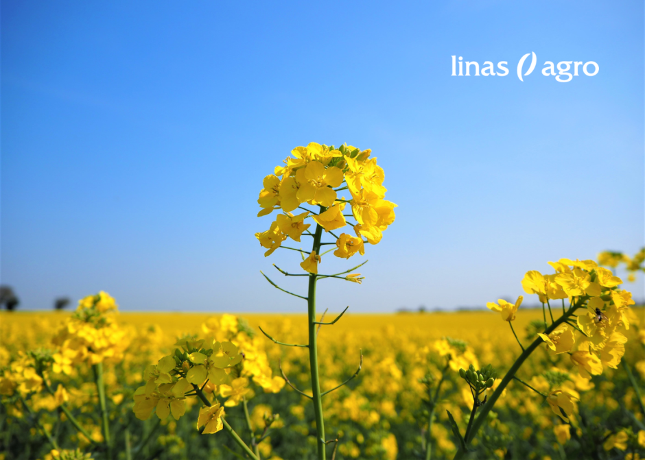 Produktu lietošanas shēmas - augu aizsardzības līdzekļi