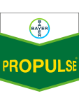 Propulse