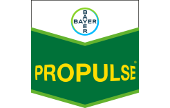 Propulse