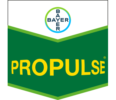 Propulse