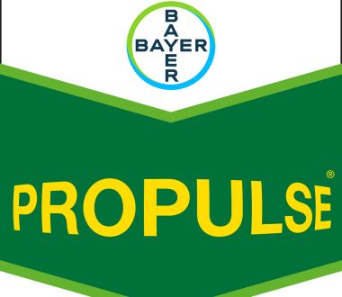 Propulse