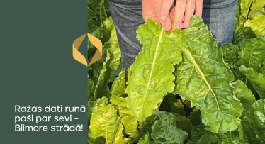 Ražas dati runā paši par sevi - Biimore strādā!