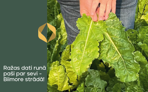 Ražas dati runā paši par sevi - Biimore strādā!