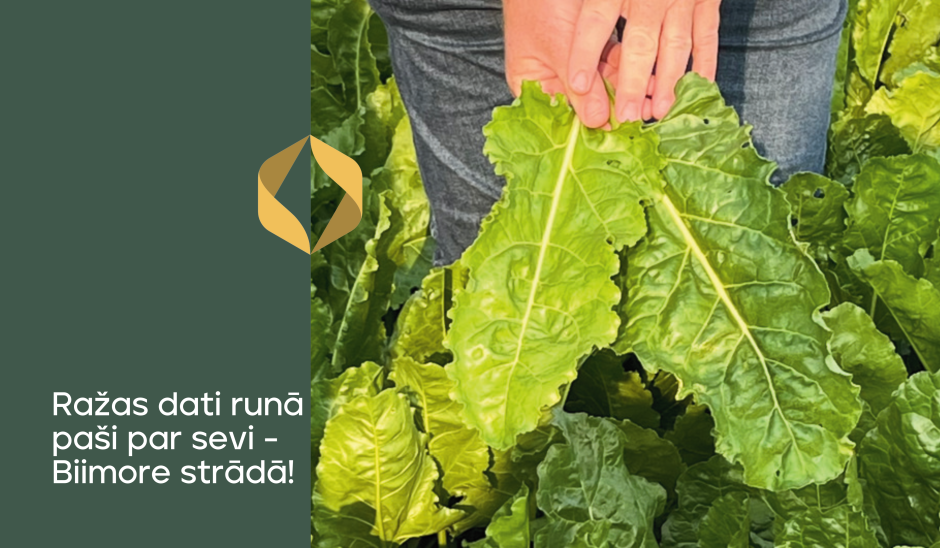 Ražas dati runā paši par sevi - Biimore strādā!