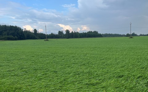 Rohumaade rajamine – uue põllu sünd!
