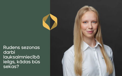 Rudens sezonas darbi lauksaimniecībā ieilgs, kādas būs sekas? 