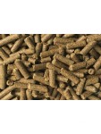 Saulespuķu spraukumi Saulespuķu spraukumi